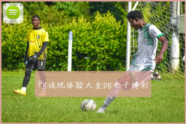 Pg试玩体验大全pg电子博彩