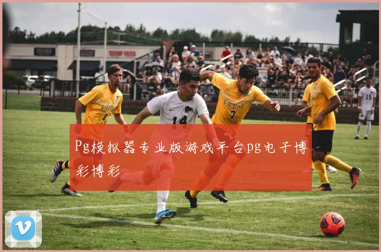 Pg模拟器专业版游戏平台pg电子博彩博彩