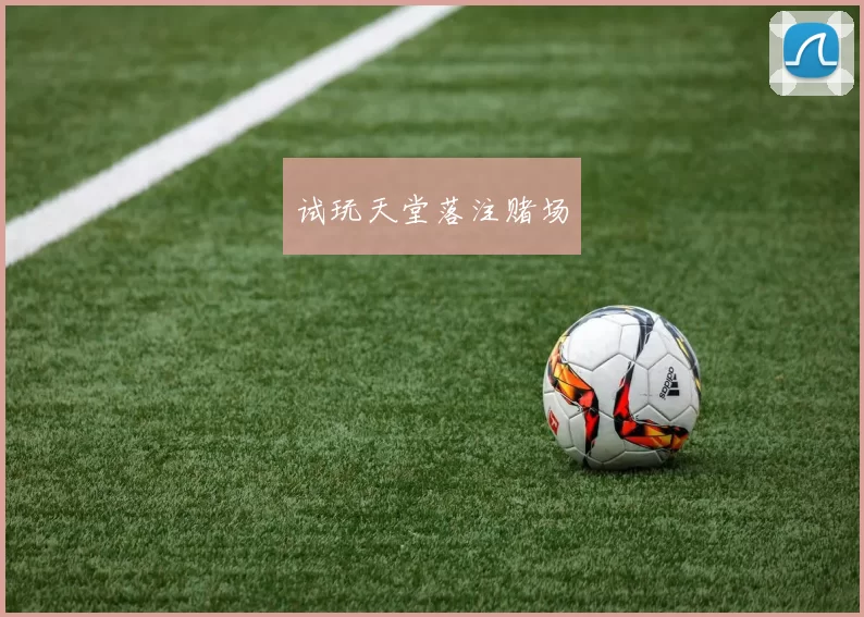 试玩天堂落注赌场