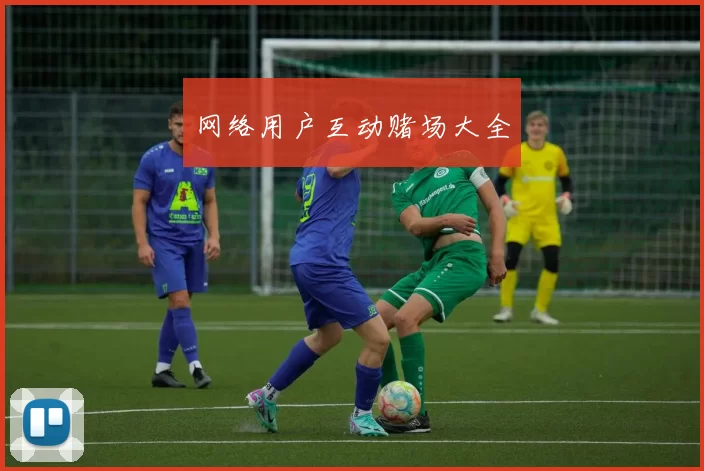 网络用户互动赌场大全