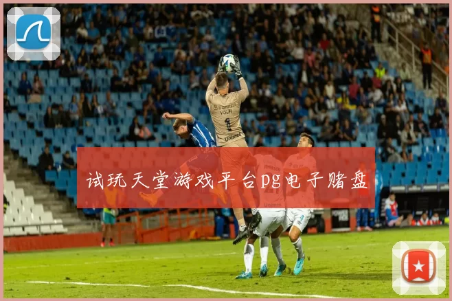 试玩天堂游戏平台pg电子赌盘